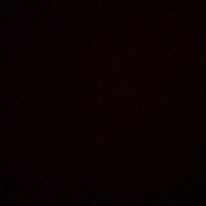 Meet your Posher, Gavin